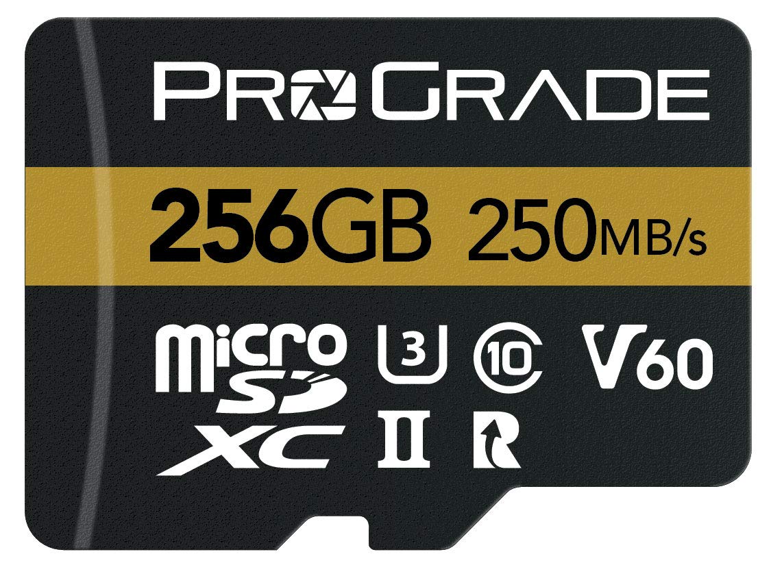 microSD Card V60 (256GB) - Tested to Work with Full-Size SD Card
